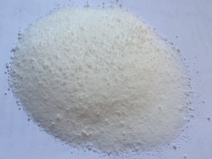 Manufacturers Exporters and Wholesale Suppliers of Food Preservatives (No Benzoic Acid) Bangkok 