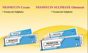 Manufacturers Exporters and Wholesale Suppliers of Neomycin Cream Sangli Maharashtra