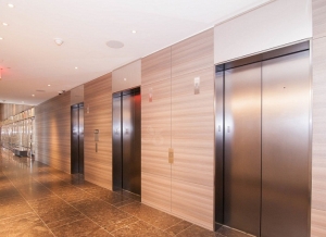 Manufacturers Exporters and Wholesale Suppliers of New Elevators Siliguri West Bengal