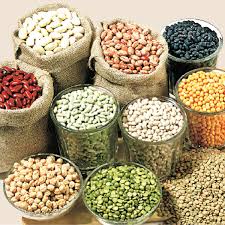 Manufacturers Exporters and Wholesale Suppliers of PULSES Hubli Karnataka