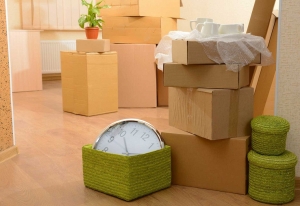 Service Provider of Packers And Movers For Household Goods Bareilly Uttar Pradesh 
