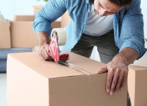 Service Provider of Packing and Moving Services Palam Calony Delhi 