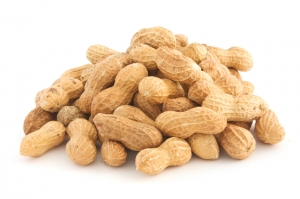Manufacturers Exporters and Wholesale Suppliers of Peanuts Telangana Andhra Pradesh