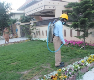 Service Provider of Pest Control Services For Garden Jaipur Rajasthan 