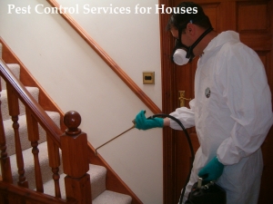 Pest Control Services For Houses
