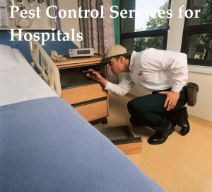 Pest Control Services For Hospitals