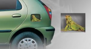 Manufacturers Exporters and Wholesale Suppliers of Petrol Lid Graphix NEW DELHI Delhi