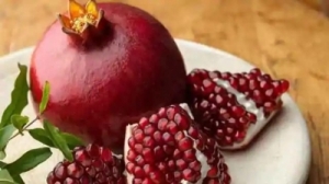 Manufacturers Exporters and Wholesale Suppliers of Pomegranate Gondia Maharashtra