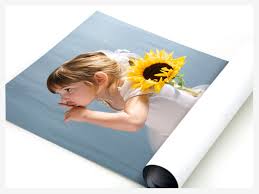 Manufacturers Exporters and Wholesale Suppliers of Poster Delhi Delhi