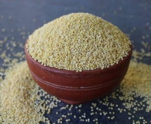 Manufacturers Exporters and Wholesale Suppliers of Proso Millet Gondia Maharashtra
