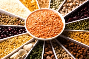 Manufacturers Exporters and Wholesale Suppliers of Pulses Mumbai Maharashtra