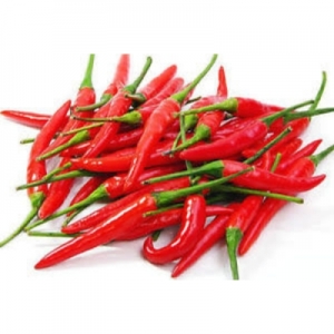 Manufacturers Exporters and Wholesale Suppliers of RED CHILLI Vadodara Gujarat