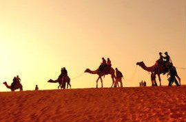 Service Provider of Rajasthan Desert Safari Tour Jaipur Rajasthan 