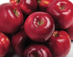 Manufacturers Exporters and Wholesale Suppliers of Red Delicious Jammu Jammu & Kashmir
