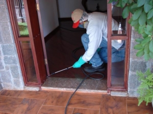 Service Provider of Residential Post Construction Anti Termite Treatment Mapusa Goa 