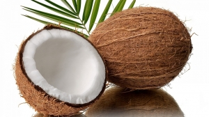 Manufacturers Exporters and Wholesale Suppliers of Semi husked coconut KOCHI Kerala