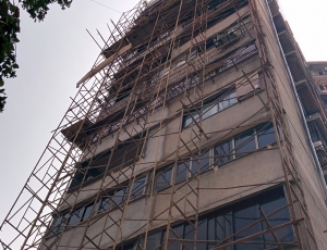 Service Provider of Sliding Moving Scaffold for Long Span Structure Mumbai Maharashtra 