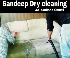 Service Provider of Sofa Dry Cleaning Services Jalandhar Cantt. Punjab 