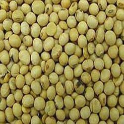 Manufacturers Exporters and Wholesale Suppliers of Soybeans Seed Nagpur Maharashtra