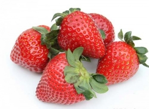 Manufacturers Exporters and Wholesale Suppliers of Strawberry New Delhi Delhi