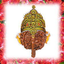 Manufacturers Exporters and Wholesale Suppliers of Three Mukhi Rudraksha Durgapur West Bengal