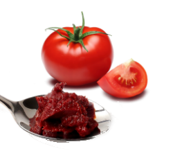Manufacturers Exporters and Wholesale Suppliers of Tomato Paste Pune Maharashtra