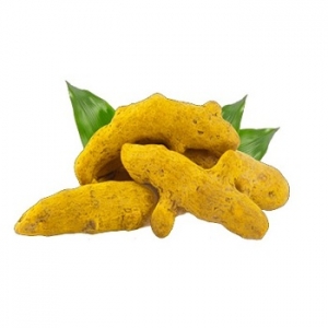 Manufacturers Exporters and Wholesale Suppliers of Turmeric Finger Hooghly West Bengal