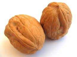 Manufacturers Exporters and Wholesale Suppliers of Walnut Shell Ahmedabad Gujarat