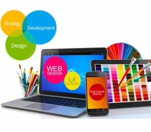Service Provider of Website Designing Training Delhi Delhi 