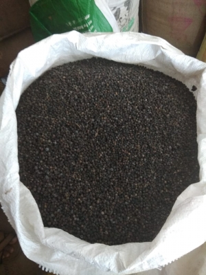 Manufacturers Exporters and Wholesale Suppliers of Black Pepper Chennai Tamil Nadu