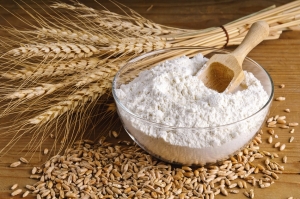 Manufacturers Exporters and Wholesale Suppliers of Wheat Flour Nagpur Maharashtra