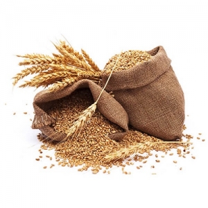 Manufacturers Exporters and Wholesale Suppliers of Wheat Mumbai Maharashtra