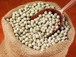 Manufacturers Exporters and Wholesale Suppliers of White Pea Beans(White Matar) Gondia Maharashtra