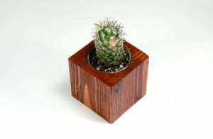 Manufacturers Exporters and Wholesale Suppliers of Wooden Flower Pots Saharanpur Uttar Pradesh