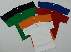 Manufacturers Exporters and Wholesale Suppliers of T-SHIRT Bangalore Karnataka