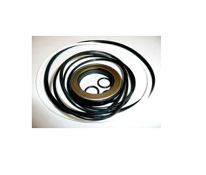 Manufacturers Exporters and Wholesale Suppliers of Swing Motor Seal Kit Kolkata West Bengal