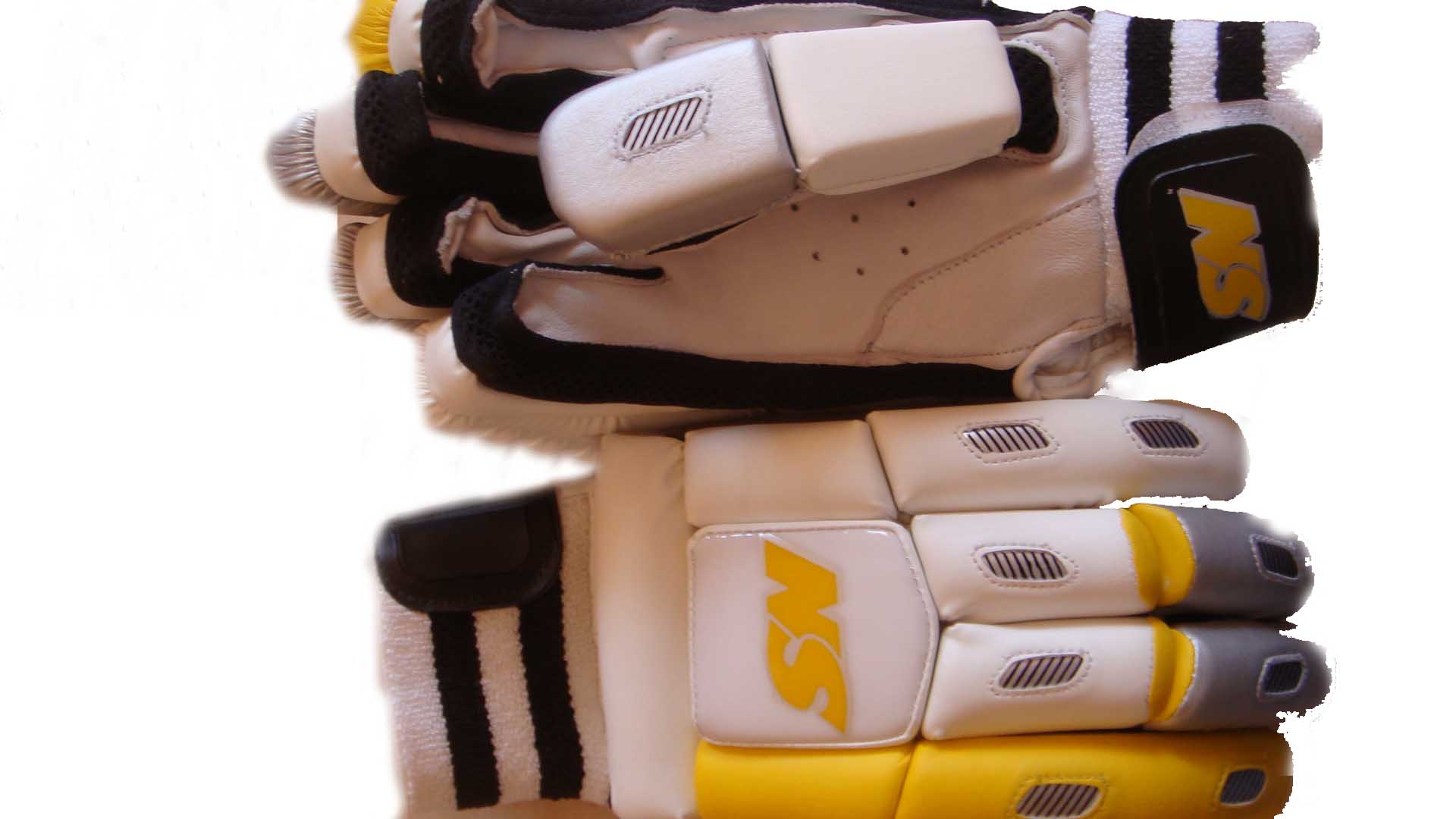 Manufacturers Exporters and Wholesale Suppliers of Batting Gloves LD Meerut Uttar Pradesh