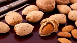 Manufacturers Exporters and Wholesale Suppliers of Almond Munirabad Karnataka