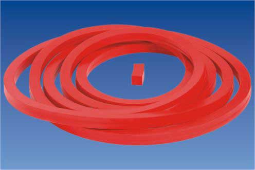 Manufacturers Exporters and Wholesale Suppliers of Autoclave Gaskets Vadodara Gujarat