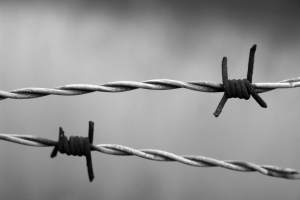 Manufacturers Exporters and Wholesale Suppliers of Barbed Wire Bhondsi Haryana