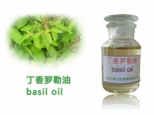 Manufacturers Exporters and Wholesale Suppliers of Basil Oi Mysore Karnataka