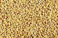 Manufacturers Exporters and Wholesale Suppliers of Fenugreek Seeds Unjha Gujarat