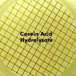 Manufacturers Exporters and Wholesale Suppliers of Casein Acid Hydrolysate Navi Mumbai Maharashtra