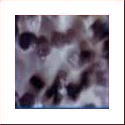 Manufacturers Exporters and Wholesale Suppliers of Bio Media hyderabad Andhra Pradesh