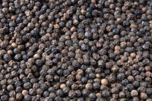 Manufacturers Exporters and Wholesale Suppliers of Black pepper and white pepper Miri.Sarawak Sarawak