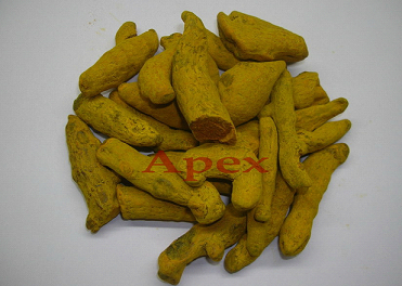 Manufacturers Exporters and Wholesale Suppliers of Turmeric Fingers Jaipur Rajasthan