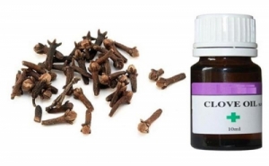 Manufacturers Exporters and Wholesale Suppliers of Clove Oil Mysore Karnataka