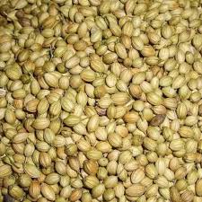 Manufacturers Exporters and Wholesale Suppliers of Coriander Seeds Coimbatore Tamil Nadu