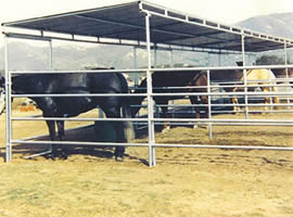 Manufacturers Exporters and Wholesale Suppliers of Horse Panel Shelters HengShui 