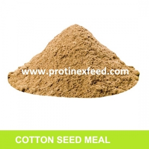 Manufacturers Exporters and Wholesale Suppliers of Cotton Seed Meal Barmer Rajasthan